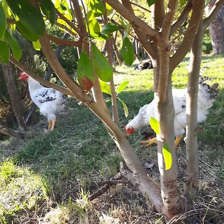 Farm stay Agriturismo Santa Giusta Poggio San Lorenzo