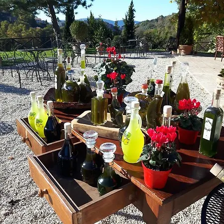 Santa Giusta Vakantieboerderij Poggio San Lorenzo