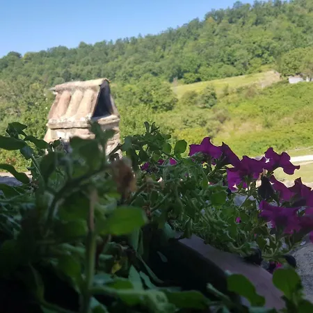 Santa Giusta Vakantieboerderij Poggio San Lorenzo